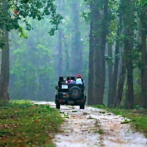 Bandhavgarh National Park