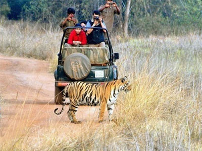 How to reach Pench National Park?