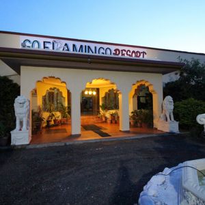 GoFlamingo Resort