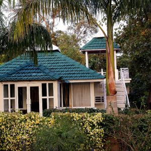 Village Machaan Resort
