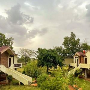 Bagh Kothi Wildlife Resort