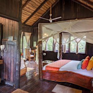 Tree House Hideaway