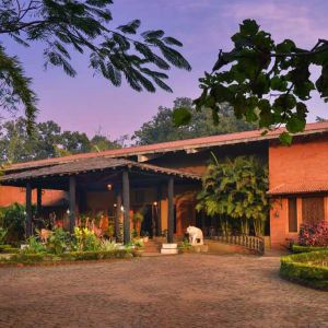 Syna Tiger Resort