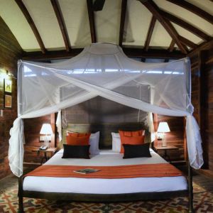 Pench Tree Lodge