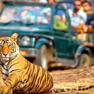 Private 2 Days Pench Wildlife Safari Tour Package