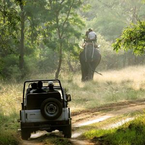 Bandhavgarh Short Tour