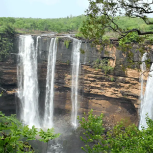 Panna National Park Weekend Tour