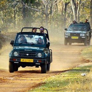 Tadoba Wildlife Tiger Land Safari Tour